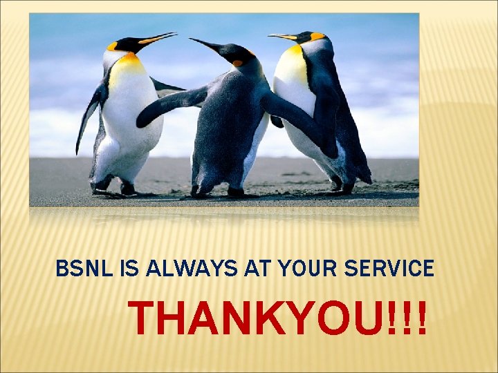 BSNL IS ALWAYS AT YOUR SERVICE THANKYOU!!! 