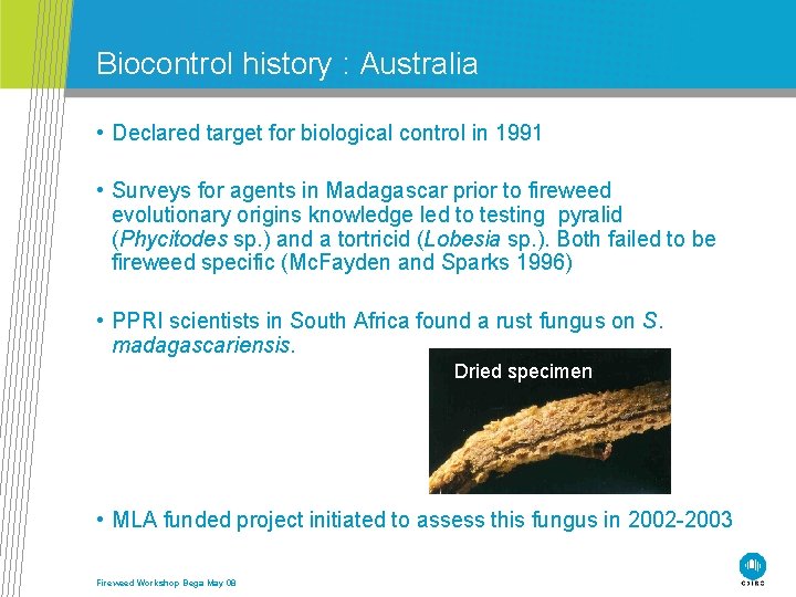 Biocontrol history : Australia • Declared target for biological control in 1991 • Surveys