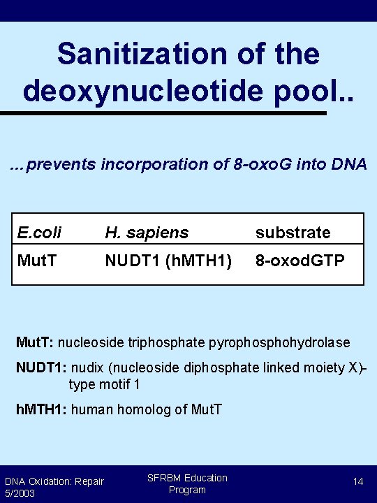 Sanitization of the deoxynucleotide pool. . …prevents incorporation of 8 -oxo. G into DNA