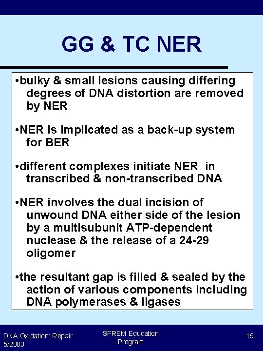 GG & TC NER • bulky & small lesions causing differing degrees of DNA