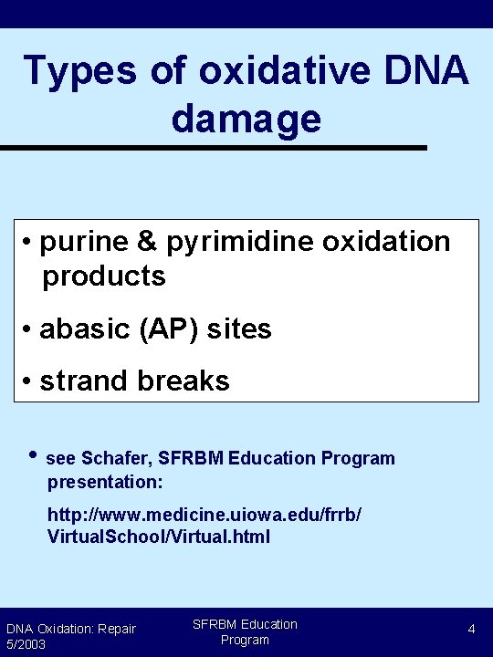 Types of oxidative DNA damage • purine & pyrimidine oxidation products • abasic (AP)