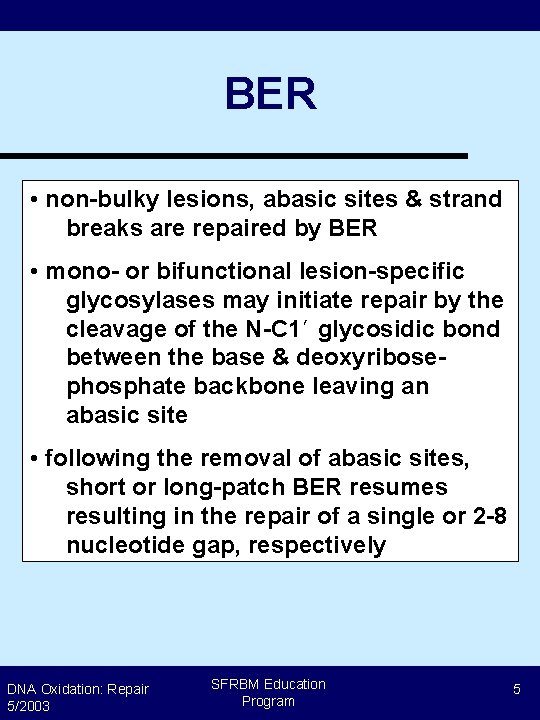 BER • non-bulky lesions, abasic sites & strand breaks are repaired by BER •