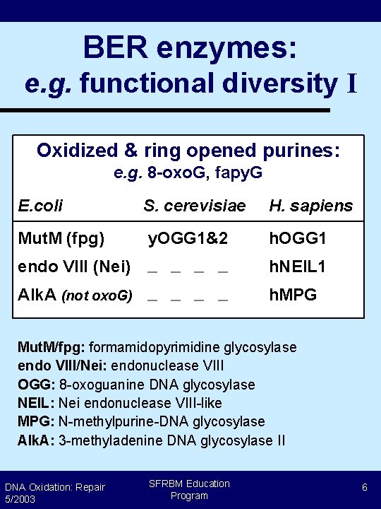 BER enzymes: e. g. functional diversity I Oxidized & ring opened purines: e. g.