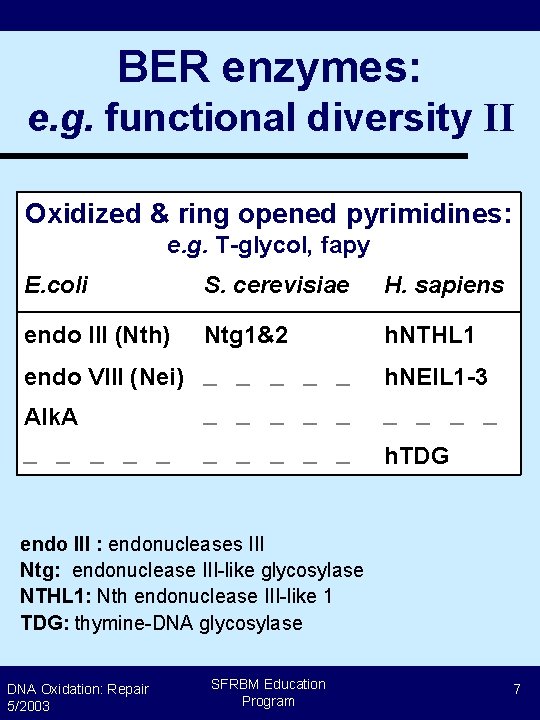 BER enzymes: e. g. functional diversity II Oxidized & ring opened pyrimidines: e. g.