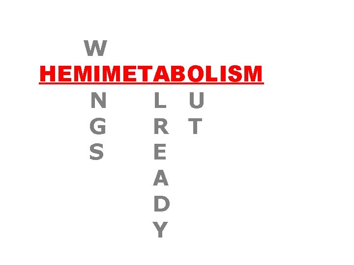 W HEMIMETABOLISM N L U G R T S E A D Y 