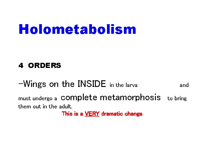 Holometabolism 4 ORDERS -Wings on the INSIDE in the larva must undergo a complete