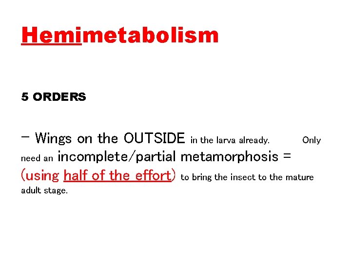 Hemimetabolism 5 ORDERS - Wings on the OUTSIDE in the larva already. Only incomplete/partial