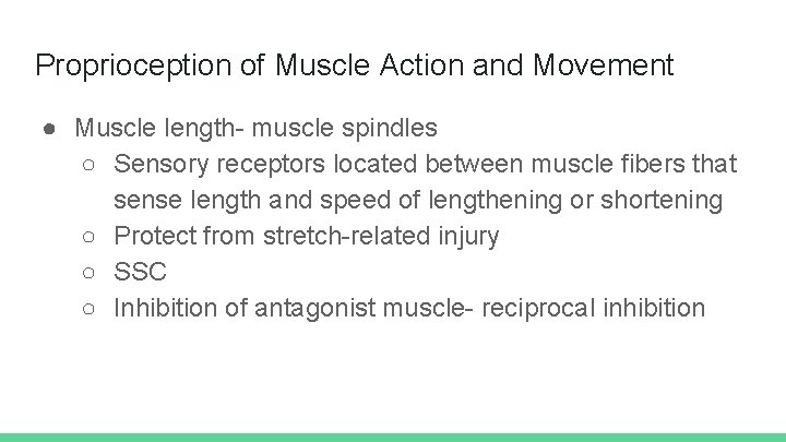 Proprioception of Muscle Action and Movement ● Muscle length- muscle spindles ○ Sensory receptors