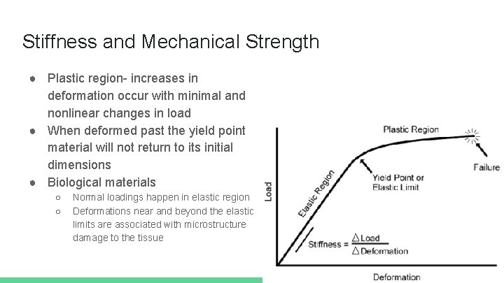 Stiffness and Mechanical Strength ● Plastic region- increases in deformation occur with minimal and