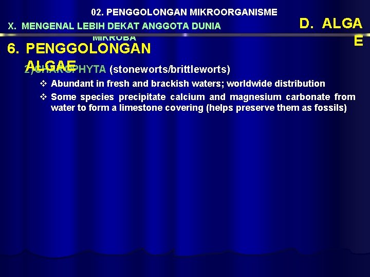 02. PENGGOLONGAN MIKROORGANISME X. MENGENAL LEBIH DEKAT ANGGOTA DUNIA MIKROBA 6. PENGGOLONGAN ALGAE 2)