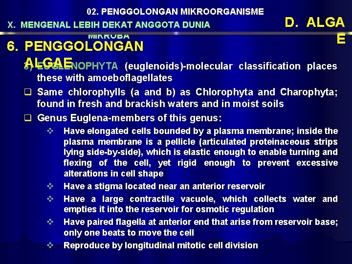 02. PENGGOLONGAN MIKROORGANISME X. MENGENAL LEBIH DEKAT ANGGOTA DUNIA MIKROBA 6. PENGGOLONGAN ALGAE 3)