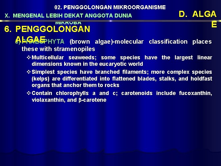 02. PENGGOLONGAN MIKROORGANISME X. MENGENAL LEBIH DEKAT ANGGOTA DUNIA MIKROBA 6. PENGGOLONGAN ALGAE 5)