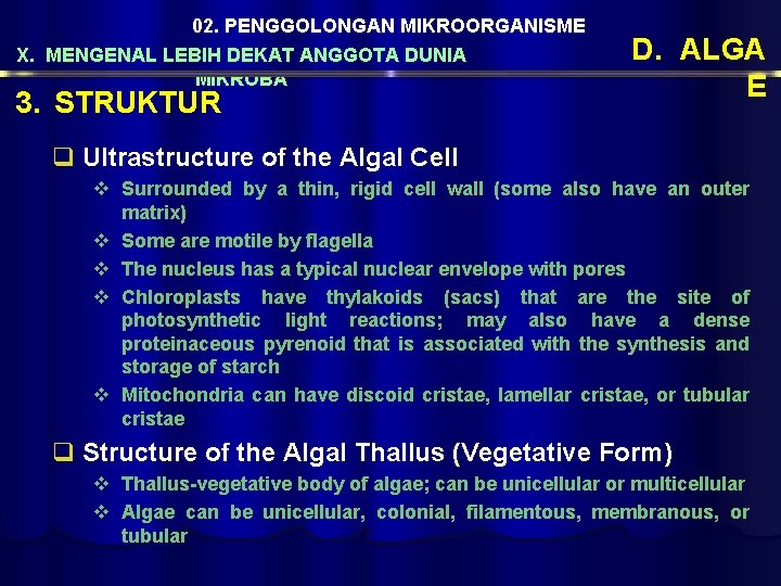 02. PENGGOLONGAN MIKROORGANISME X. MENGENAL LEBIH DEKAT ANGGOTA DUNIA MIKROBA 3. STRUKTUR D. ALGA