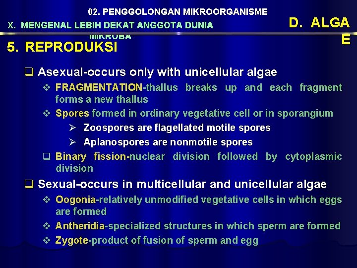 02. PENGGOLONGAN MIKROORGANISME X. MENGENAL LEBIH DEKAT ANGGOTA DUNIA MIKROBA 5. REPRODUKSI D. ALGA