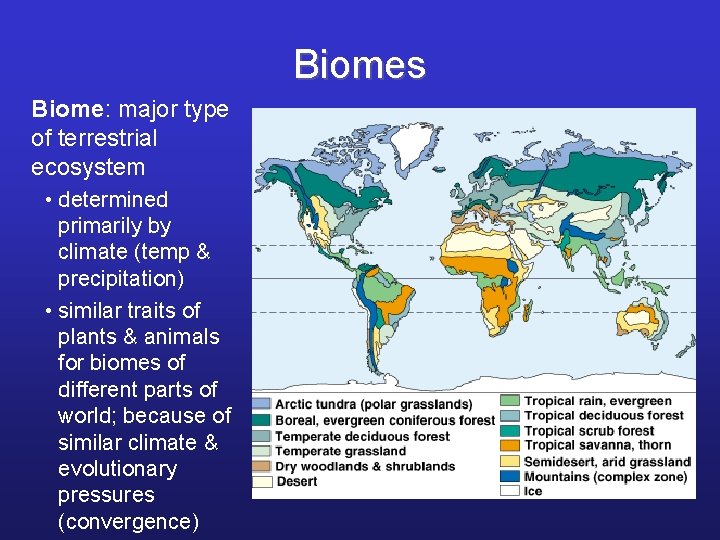 Biomes Biome: major type of terrestrial ecosystem • determined primarily by climate (temp &