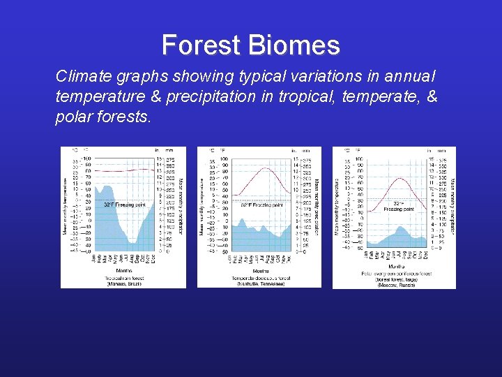 Forest Biomes Climate graphs showing typical variations in annual temperature & precipitation in tropical,