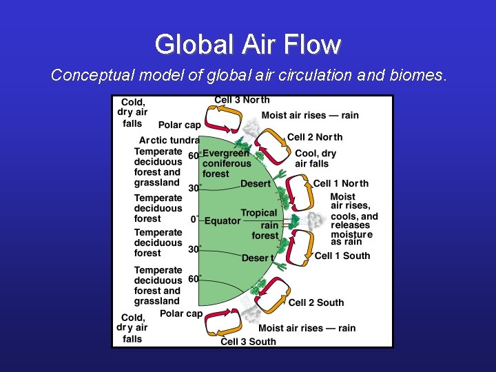 Global Air Flow Conceptual model of global air circulation and biomes. 