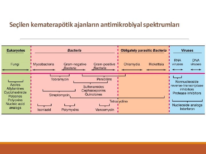 Seçilen kematerapötik ajanların antimikrobiyal spektrumları 