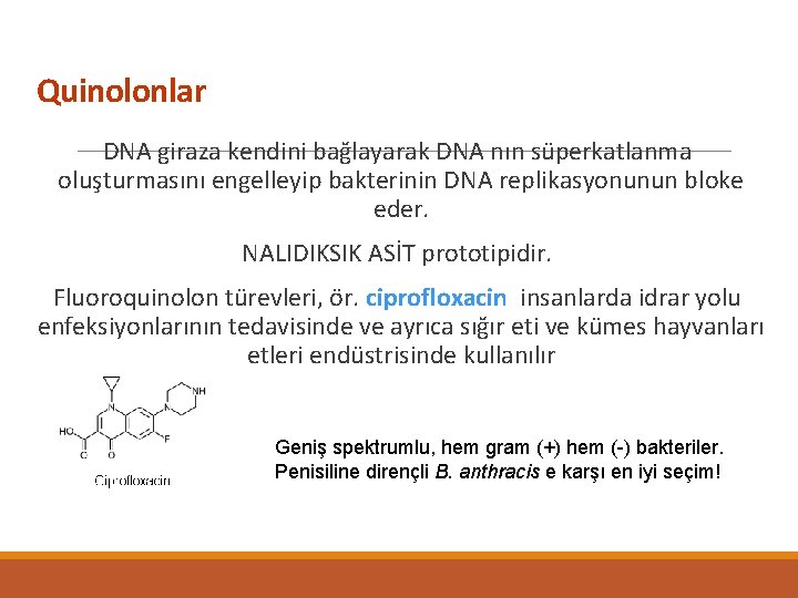 Quinolonlar DNA giraza kendini bağlayarak DNA nın süperkatlanma oluşturmasını engelleyip bakterinin DNA replikasyonunun bloke