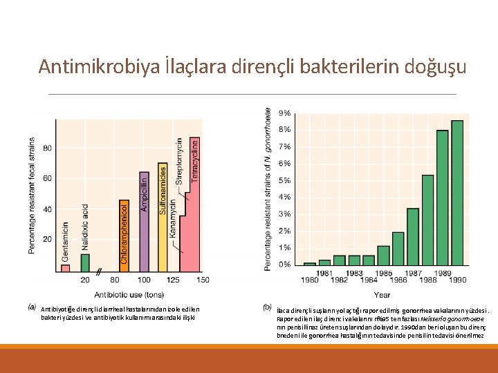 Antimikrobiya İlaçlara dirençli bakterilerin doğuşu Antibiyotiğe dirençli diarrheal hastalarınıdan izole edilen bakteri yüzdesi Ve