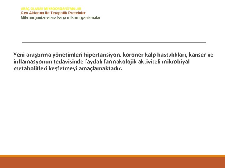 Mikrobiyal biyoteknoloji ARAÇ OLARAK MİKROORGANİZMALAR Gen Aktarımı ile Terapötik Proteinler Mikroorganizmalara karşı mikroorganizmalar Yeni