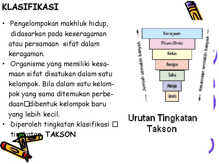 KLASIFIKASI • Pengelompokan makhluk hidup, didasarkan pada keseragaman atau persamaan sifat dalam keragaman. •