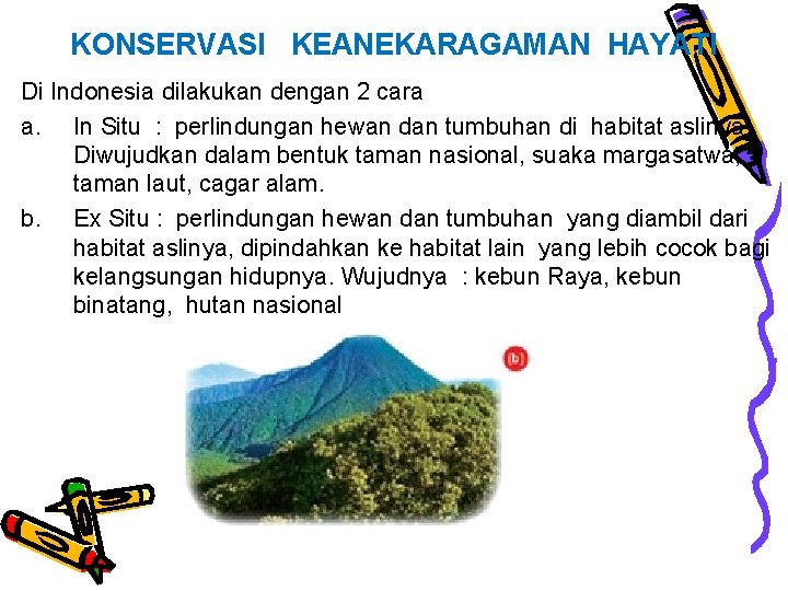 KONSERVASI KEANEKARAGAMAN HAYATI Di Indonesia dilakukan dengan 2 cara a. In Situ : perlindungan