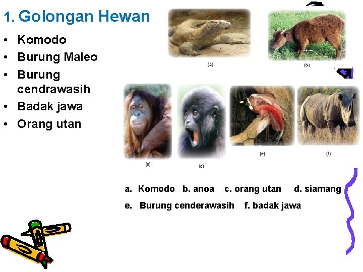 1. Golongan Hewan • Komodo • Burung Maleo • Burung cendrawasih • Badak jawa