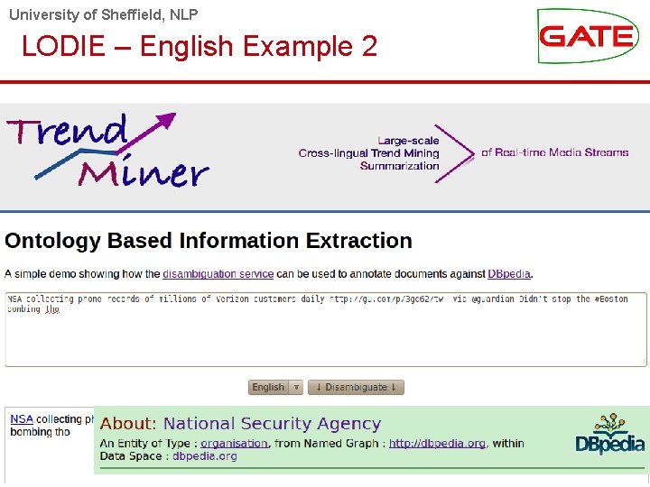 University of Sheffield, NLP LODIE – English Example 2 Trend. Miner, Review - Year
