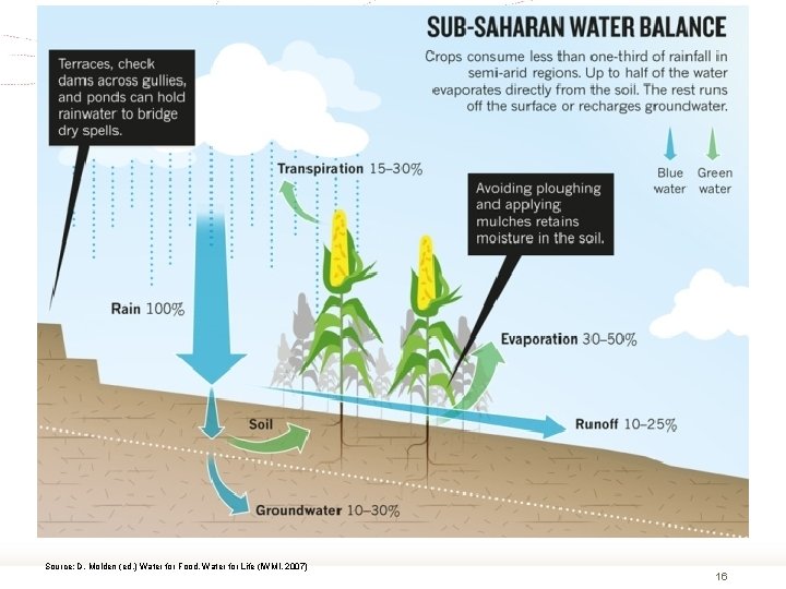 Source: D. Molden (ed. ) Water for Food, Water for Life (IWMI, 2007) 16