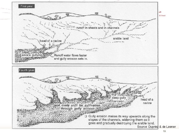 Source: Dupriez & de Leener 19 