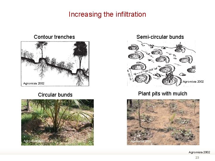 Increasing the infiltration Contour trenches Semi-circular bunds Agromisa 2002 Circular bunds Agromisa 2002 Plant