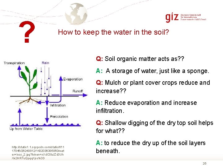 ? How to keep the water in the soil? Q: Soil organic matter acts