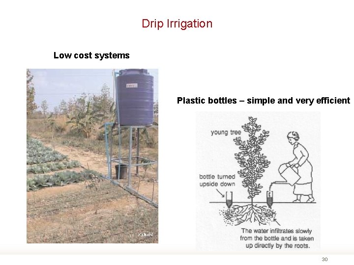 Drip Irrigation Low cost systems Plastic bottles – simple and very efficient Kotschi 30