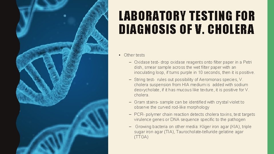 LABORATORY TESTING FOR DIAGNOSIS OF V. CHOLERA • Other tests – Oxidase test- drop