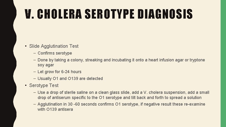 V. CHOLERA SEROTYPE DIAGNOSIS • Slide Agglutination Test – Confirms serotype – Done by