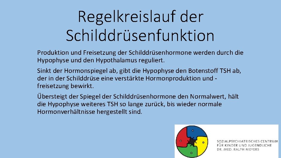 Regelkreislauf der Schilddrüsenfunktion Produktion und Freisetzung der Schilddrüsenhormone werden durch die Hypophyse und den