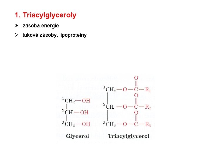 1. Triacylglyceroly Ø zásoba energie Ø tukové zásoby, lipoproteiny 