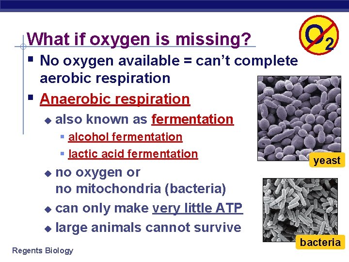 What if oxygen is missing? § No oxygen available = can’t complete § O