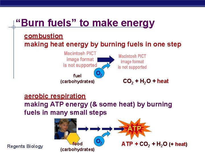 “Burn fuels” to make energy combustion making heat energy by burning fuels in one