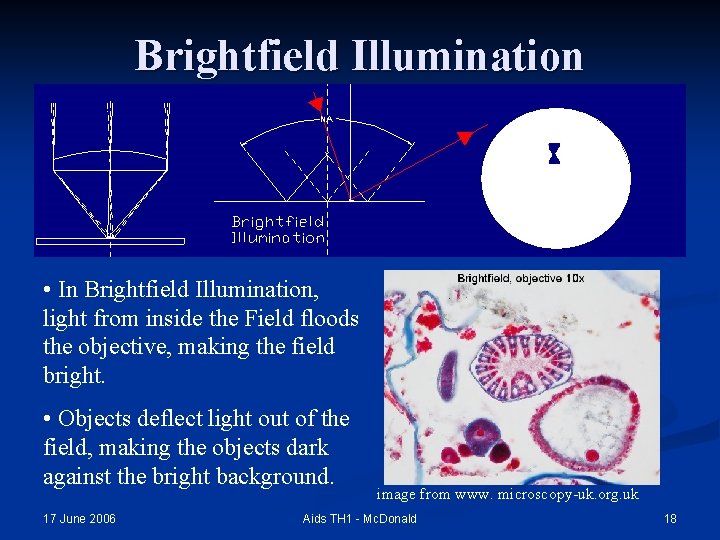 Brightfield Illumination • In Brightfield Illumination, light from inside the Field floods the objective,