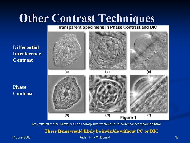 Other Contrast Techniques Differential Interference Contrast Phase Contrast http: //www. molecularexpressions. com/primer/techniques/dicphasecomparison. html These