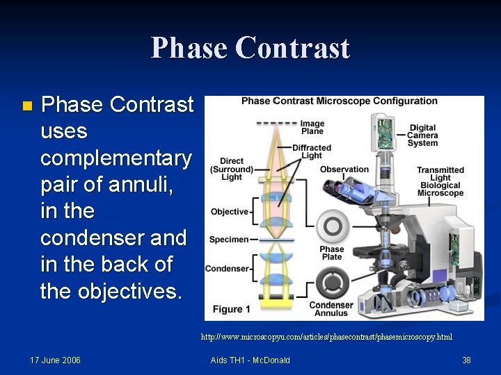 Phase Contrast n Phase Contrast uses complementary pair of annuli, in the condenser and