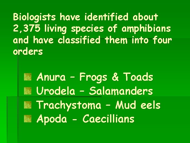 Biologists have identified about 2, 375 living species of amphibians and have classified them