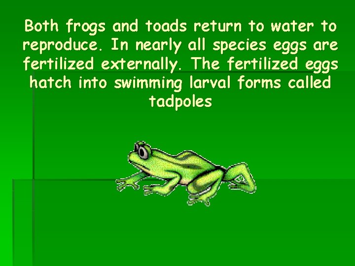 Both frogs and toads return to water to reproduce. In nearly all species eggs