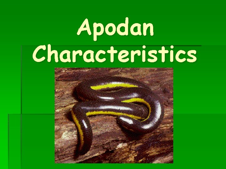 Apodan Characteristics 