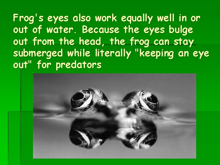 Frog's eyes also work equally well in or out of water. Because the eyes