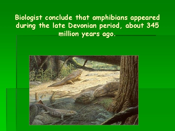 Biologist conclude that amphibians appeared during the late Devonian period, about 345 million years