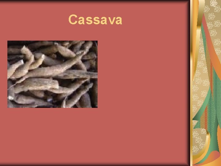 Cassava 