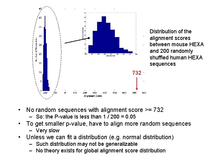 Distribution of the alignment scores between mouse HEXA and 200 randomly shuffled human HEXA